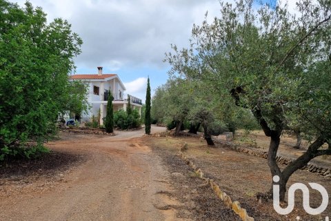 House for sale in Sant Carles De La Rapita, Tarragona, Spain 2 bedrooms, 168 sq.m. No. 153274 - photo 22