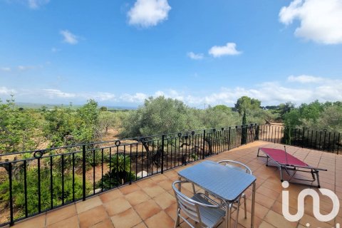 House for sale in Sant Carles De La Rapita, Tarragona, Spain 2 bedrooms, 168 sq.m. No. 153274 - photo 29