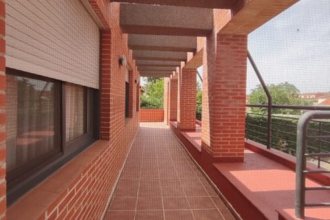 Māja pārdošanā Santa Elena de Jamuz, Leon, Spānijā 3 istabas, 376 m2 Nr. 153280 - attēls 19