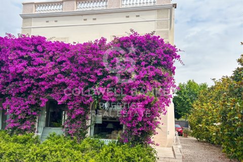 Villa à vendre à El Masnou, Barcelona, Espagne, 7 chambres, 481 m2 No. 178461 - photo 15