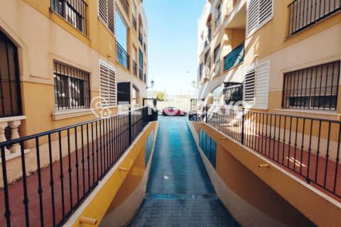 Продажа квартиры в Форментера-дель-Сегура, Аликанте, Испания 2 спальни, 73м2 №183829 - фото 8