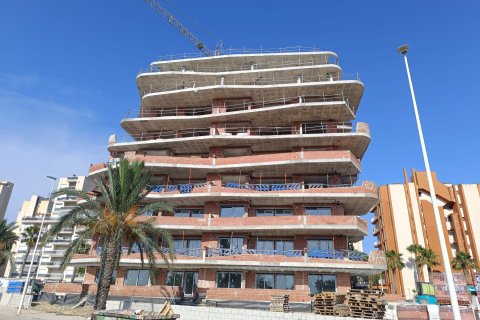 Bungalow for sale Guardamar del Segura, Alicante, Spain 2 bedrooms, 73 sq.m. No. 134200 - photo 26