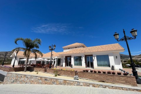 Land plot à vendre à Finestrat, Alicante, EspagneNo. 165204 - photo 13