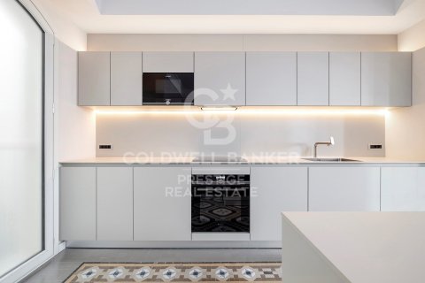 Penthouse for sale in Barcelona, Spain 3 bedrooms, 273 sq.m. No. 159452 - photo 24