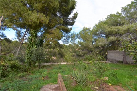 Villa for sale in Pinar De Campoverde, Alicante, Spain 4 bedrooms, 150 sq.m. No. 145574 - photo 26