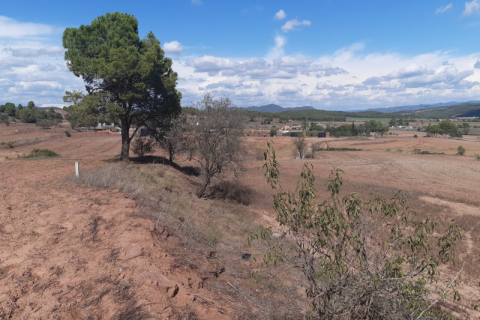 Land plot for sale in Sant Fruitos de Bages, Barcelona, Spain No. 167146 - photo 4