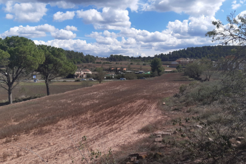 Land plot for sale in Sant Fruitos de Bages, Barcelona, Spain No. 167146 - photo 3