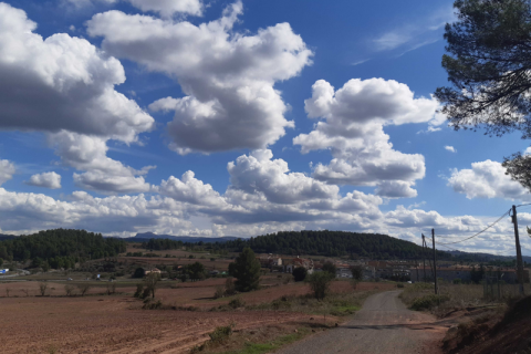 Land plot for sale in Sant Fruitos de Bages, Barcelona, Spain No. 167146 - photo 7