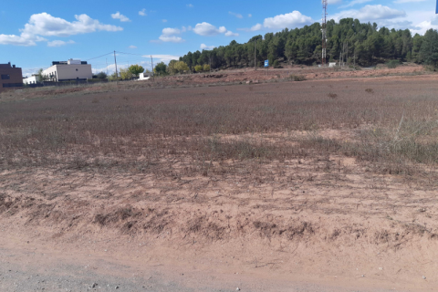Land plot for sale in Sant Fruitos de Bages, Barcelona, Spain No. 167146 - photo 10