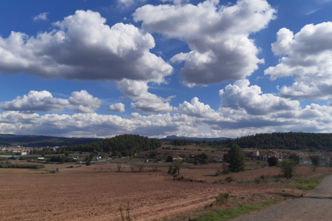 Land plot for sale in Sant Fruitos de Bages, Barcelona, Spain No. 167146 - photo 6
