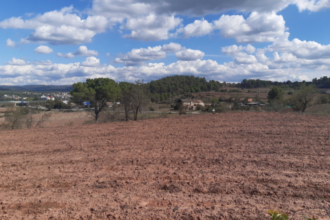 Land plot for sale in Sant Fruitos de Bages, Barcelona, Spain No. 167146 - photo 5