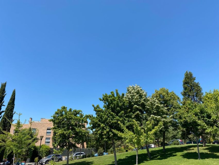 Квартира в Мадрид, Испания 2 спальни, 121м2 №76223
