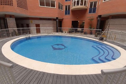 Продажа квартиры в Торревьеха, Аликанте, Испания 1 спальня, 45м2 №184371 - фото 2
