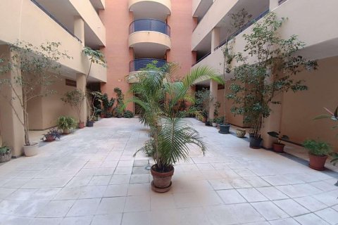 Продажа квартиры в Торревьеха, Аликанте, Испания 1 спальня, 45м2 №184371 - фото 6