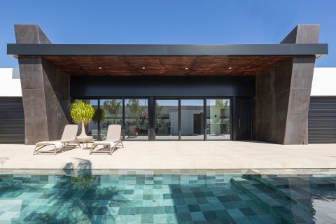 Huvila myytävänä Ciudad Quesada, Alicante, Espanja, 5 makuuhuonetta, 290 m2 No. 190801 - kuva 4