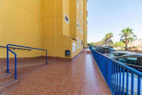 Apartamento en venta en Dehesa De Campoamor, Alicante, España 2 dormitorios, 69 m2 No. 192019 - foto 24