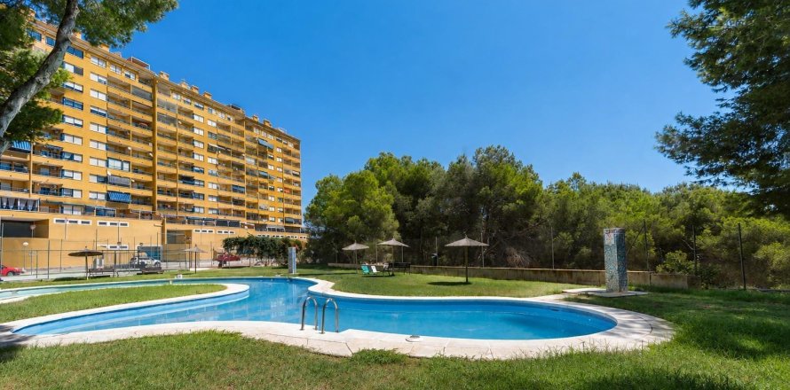 Apartamento en Dehesa De Campoamor, Alicante, España 2 dormitorios, 69 m2 No. 192019
