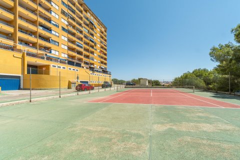 Apartamento en venta en Dehesa De Campoamor, Alicante, España 2 dormitorios, 69 m2 No. 192019 - foto 26