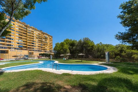 Apartament w Dehesa De Campoamor, Alicante, Hiszpania 2 sypialnie, 69 mkw. nr 192019 – zdjęcie 3