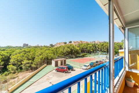 Apartamento en venta en Dehesa De Campoamor, Alicante, España 2 dormitorios, 69 m2 No. 192019 - foto 23