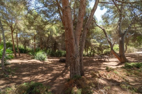 Apartamento en venta en Dehesa De Campoamor, Alicante, España 2 dormitorios, 69 m2 No. 192019 - foto 27