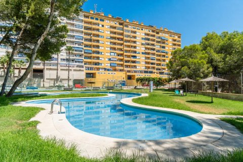 Apartamento en venta en Dehesa De Campoamor, Alicante, España 2 dormitorios, 69 m2 No. 192019 - foto 28