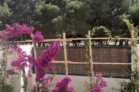 Apartamento en venta en Alicante, España 3 dormitorios, 102 m2 No. 192020 - foto 17
