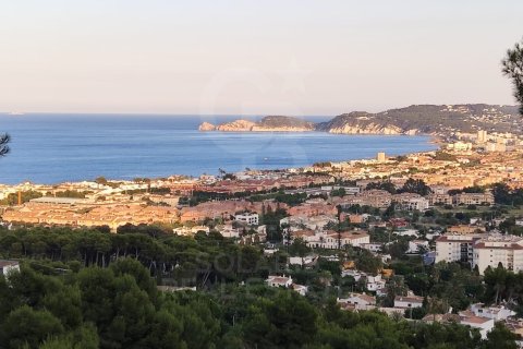 Land plot à Javea, Alicante, Espagne 1180 m2 No. 160359