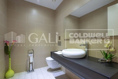 Huvila myytävänä Principado De Andorra (Ninguna Poblacion Tiene C.P.), Lleida, Espanja, 5 makuuhuonetta, 1120 m2 No. 160355 - kuva 9