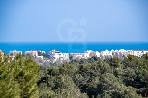 Villa pārdošanā Javea, Alicante, Spānijā 3 istabas, 560 m2 Nr. 160357 - attēls 4