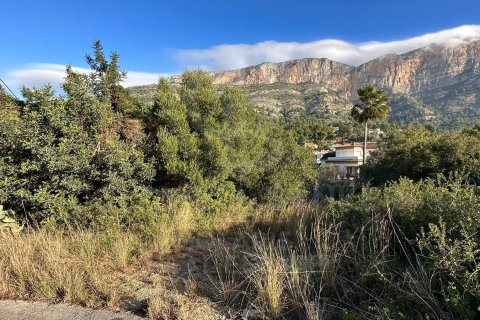 Land zum Verkauf in Javea, Alicante, Spanien 5766 m2 Nr. 160361 - Foto 6