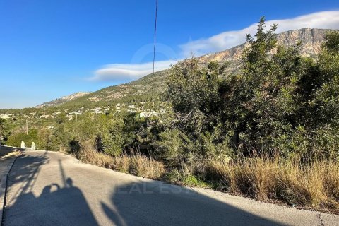 Land zum Verkauf in Javea, Alicante, Spanien 5766 m2 Nr. 160361 - Foto 4