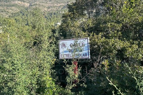 Tontti myytävänä Javea, Alicante, Espanja , 5766 m2 No. 160361 - kuva 3