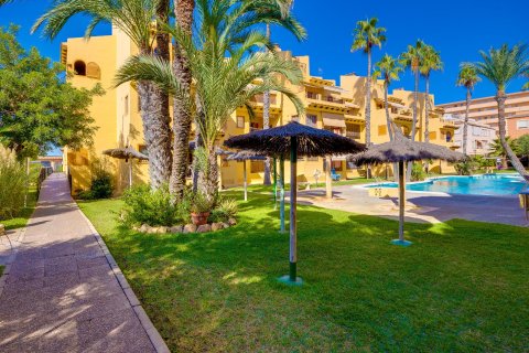 Apartamento en venta en La Mata, Alicante, España 3 dormitorios, 93 m2 No. 140684 - foto 8