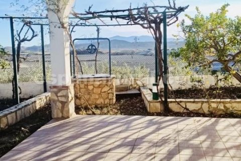 Villa à vendre à Cuevas del Almanzora, Almeria, Espagne, 3 chambres, 369 m2 No. 168969 - photo 22