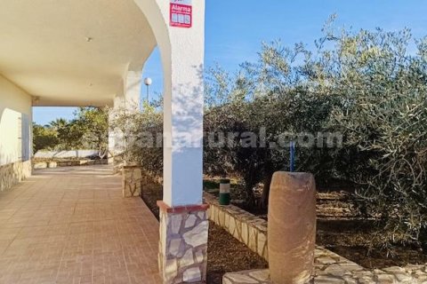 Villa à vendre à Cuevas del Almanzora, Almeria, Espagne, 3 chambres, 369 m2 No. 168969 - photo 4
