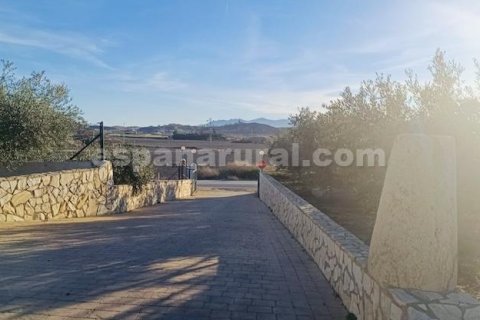 Villa à vendre à Cuevas del Almanzora, Almeria, Espagne, 3 chambres, 369 m2 No. 168969 - photo 27