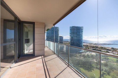 Dzīvoklis Barcelona, Spānijā 4 istabas, 171 m2 Nr. 168973