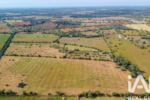 Land plot for sale in Llucmajor, Mallorca, Spain 36895 sq.m. No. 172622 - photo 3