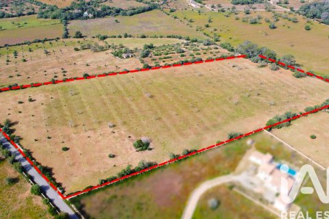 Land plot for sale in Llucmajor, Mallorca, Spain 36895 sq.m. No. 172622 - photo 6