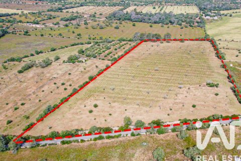 Land plot for sale in Llucmajor, Mallorca, Spain 36895 sq.m. No. 172622 - photo 8