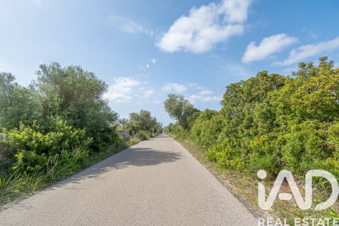 Land plot for sale in Llucmajor, Mallorca, Spain 36895 sq.m. No. 172622 - photo 9
