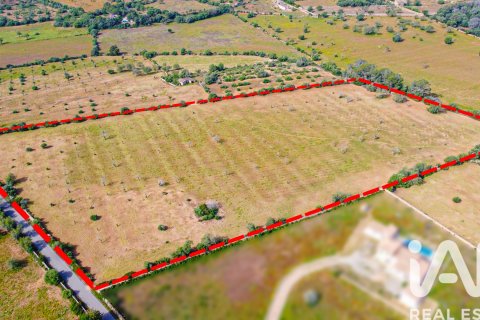 Land plot for sale in Llucmajor, Mallorca, Spain 36895 sq.m. No. 172622 - photo 7