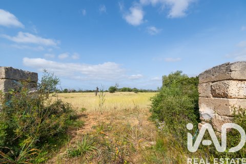 Land plot for sale in Llucmajor, Mallorca, Spain 36895 sq.m. No. 172622 - photo 12