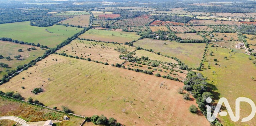 Land plot in Llucmajor, Mallorca, Spain 36895 sq.m. No. 172622
