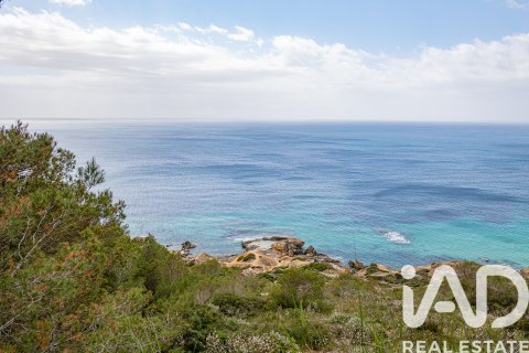 Land plot for sale in Llucmajor, Mallorca, Spain 36895 sq.m. No. 172622 - photo 16