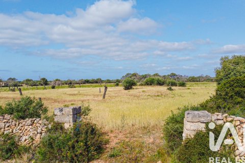Land plot for sale in Llucmajor, Mallorca, Spain 36895 sq.m. No. 172622 - photo 11