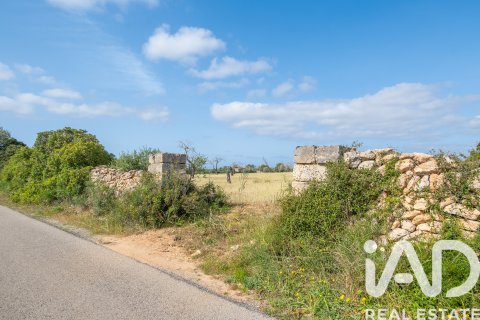 Land plot for sale in Llucmajor, Mallorca, Spain 36895 sq.m. No. 172622 - photo 10