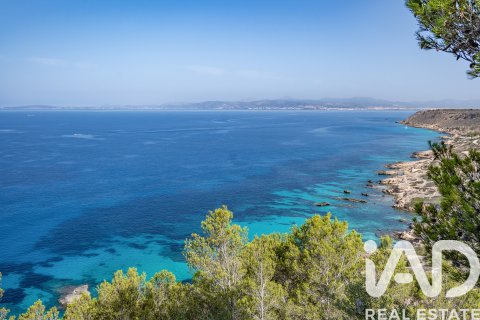 Land plot for sale in Llucmajor, Mallorca, Spain 36895 sq.m. No. 172622 - photo 15