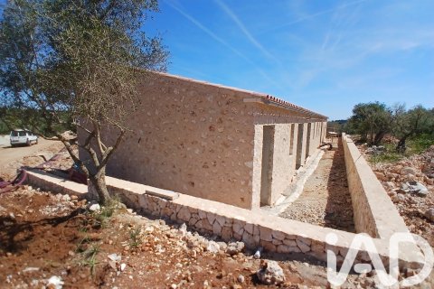 Māja pārdošanā Manacor, Mallorca, Spānijā 623 m2 Nr. 172619 - attēls 4